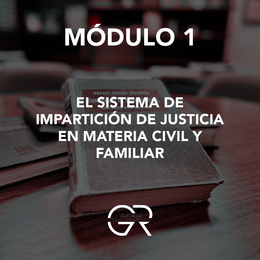 Litigio Estratégico Guati Rojo Capacitación en Litigio Estratégico CNPCyF