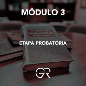 Litigio Estratégico Guati Rojo Capacitación en Litigio Estratégico CNPCyF